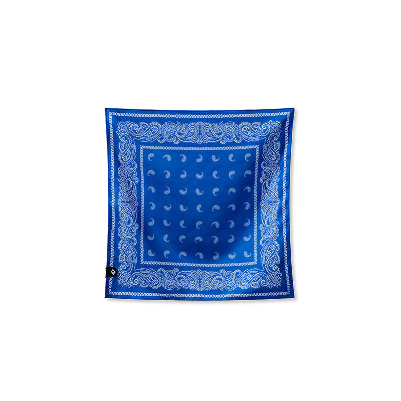 Bandana Towel: Paisley/Stellar Blue