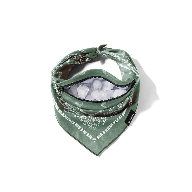 Ice Bandana Towel: Paisley/Forest GR