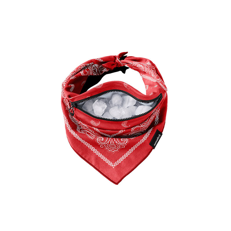 Ice Bandana Towel: Paisley/Red