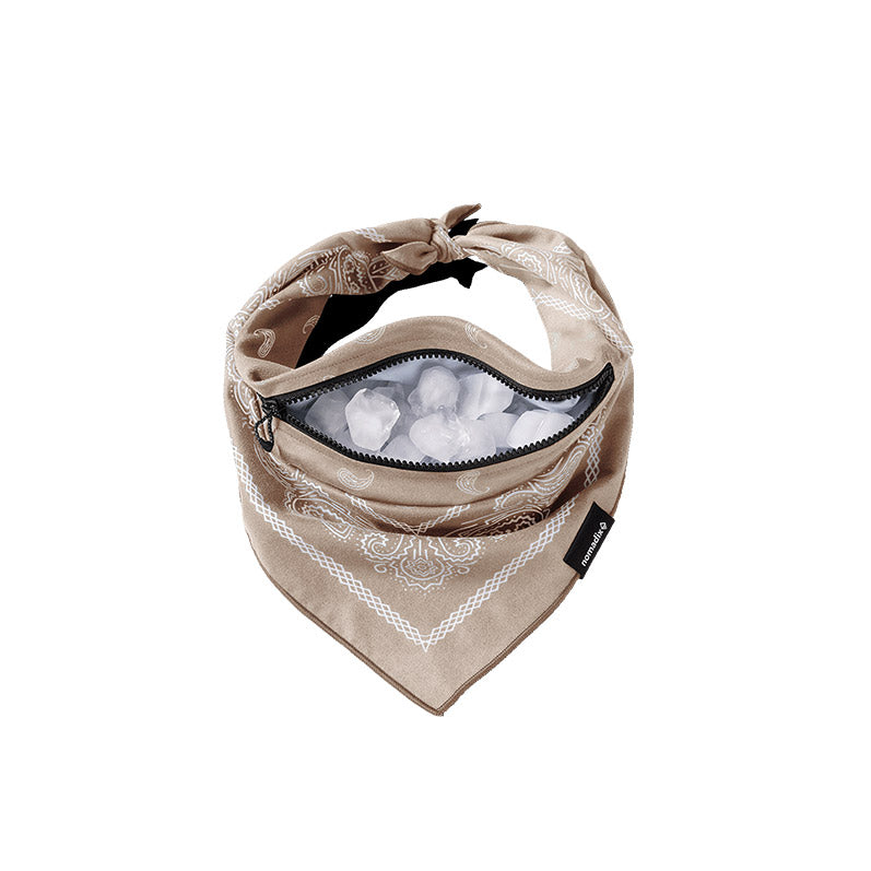 Ice Bandana Towel: Paisley/Tan